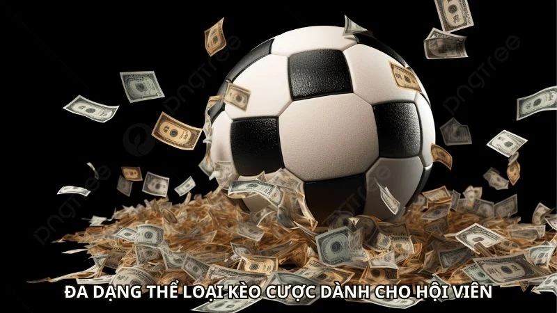 Đa dạng thể loại kèo cược dành cho hội viên