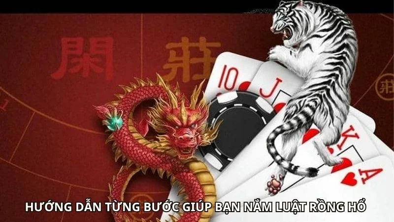 Cách Chơi Rồng Hổ Online Hiệu Quả Cho Người Mới Bắt Đầu 1 Hướng dẫn từng bước giúp bạn nắm luật rồng hổ