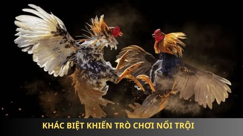 Đá gà cựa đòn 85win: Chiến thuật đỉnh cao, tỷ lệ thắng lớn 2 Khác biệt khiến trò chơi nổi trội với các hình thức khác