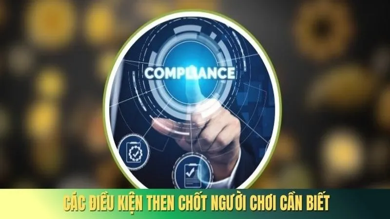 Điều Kiện Điều Khoản 85WIN 3 Các điều kiện then chốt người chơi cần biết