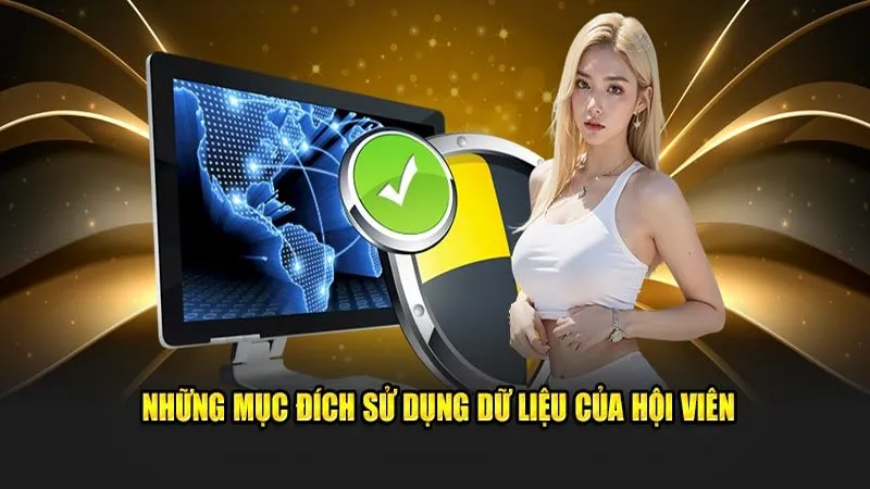 Quyền Riêng Tư 85WIN – Bảo Mật Thông Tin Người Chơi Tuyệt Đối 3 Mục đích nhà cái thu thập dữ liệu từ hội viên