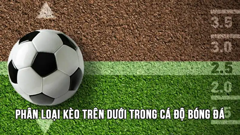Kèo trên dưới là gì? Mẹo chơi kèo nâng tỷ lệ thành công 2 Phân loại kèo trên dưới trong cá độ bóng đá